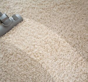 Professional carpet cleaning trust that services in Melbourne